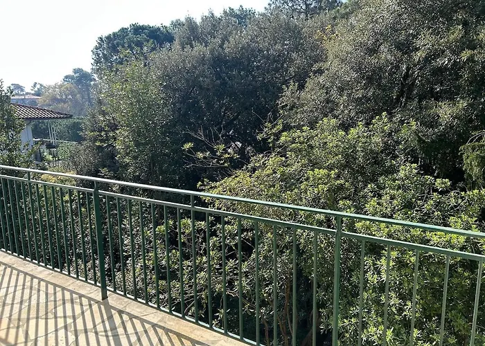 Apartment T3 Quartier Pereire